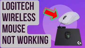 Solutions To Logitech Wireless Mouse Not Working Issue [Updated 2024]