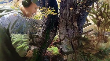 Star Song X (HWJ 142bpm mix) - trance-techno synthesizer jam with Gaia, MC101, MFC42, Crave and Edge