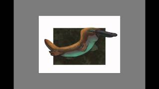 Episode 38: Stylised Creature - Platypus