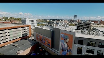 Pathways for Connection - The Avenue Concept 2024