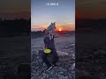 🐶 PARCERIA que ENCANTA: cão entende comando e garante clique perfeito