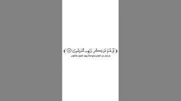 كروما شاشة بيضاء قرآن كريم 🌿تلاوة من سورة الأنبياء 🌿القارئ هاني الرفاعي 🌿