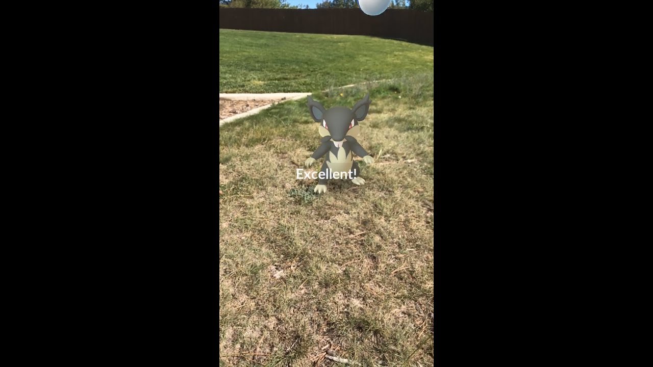 Alolan Rattata - Excellent Curveball AR+ (Pokémon GO)