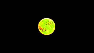 LA LUNA