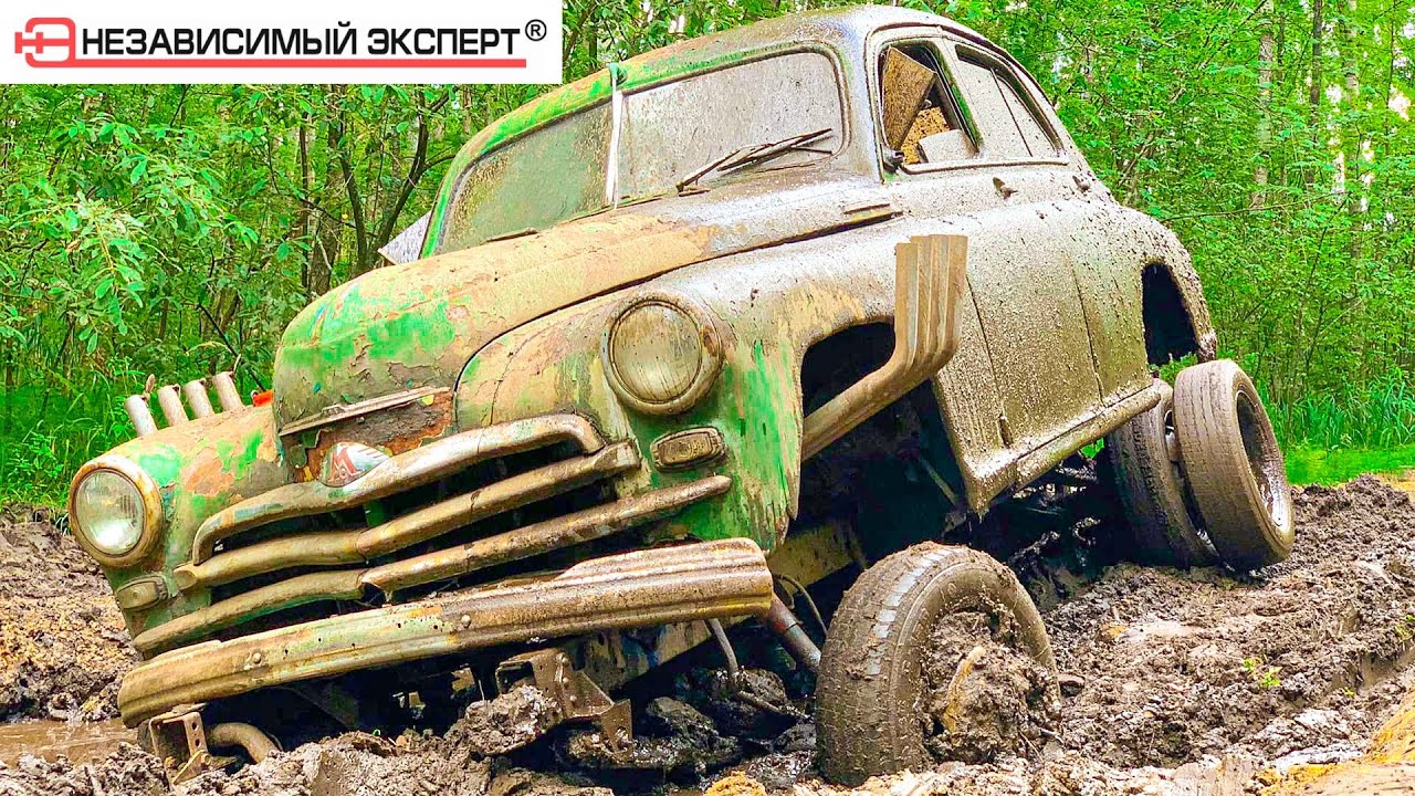 Независимый эксперт дзен