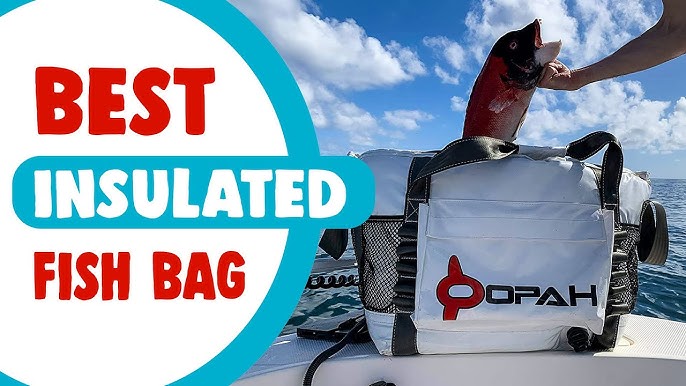 Best Insulated Fish Bag - Buying Guide [2023 Update] 