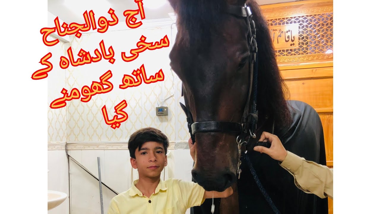 @shahazibvlogs572 @zuljanaattockattock @zuljanaattockattock