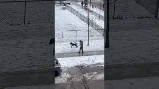 Verglas : la tempête gèle Montréal