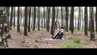Addicted To You - Avicii (Harp Cover) Full HD