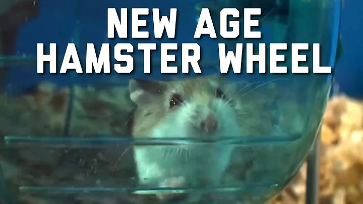 The New Age Hamster Wheel