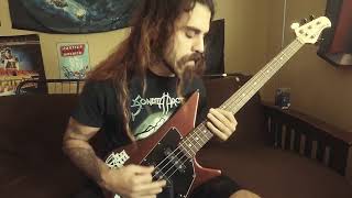 In Flames - Watch them Feed ( Bass Cover )