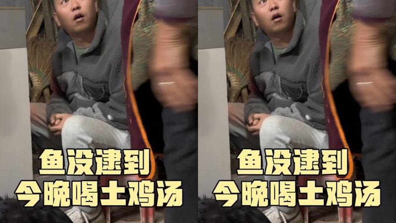 鱼没逮到，今晚就炖土鸡汤喝，乡村生活真的太有趣了@一只百万（阿伟燕子旅行记） #我们的乡村生活记录#真实记录生活