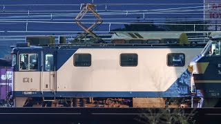 ロゴなし牽引! EF64-1020 フレームライナー 3093レ 稲沢→名古屋タ