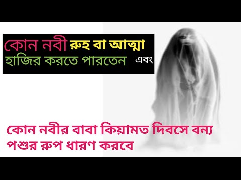 ভিডিও: নিরীহ বোকামি বা আত্মার বিশুদ্ধতা কি?