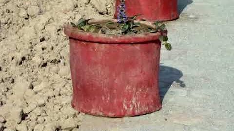 UST Bannu First Ever Documentary by Mr. Bashir Ahmad (PRO) and Mr. Azizullah Khan (English Deptt)