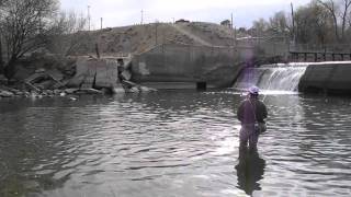 Fly Fishing Mythbusters "Do fish eat your splitshot?"