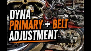 How To Adjust Primary Chain & Drive Belt | Harley Dyna (Specs Included)