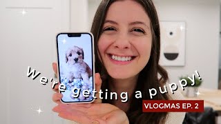 WE&#39;RE GETTING A PUPPY FOR CHRISTMAS! | VLOGMAS Ep. 2