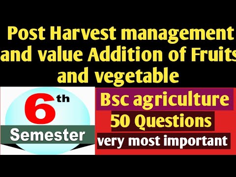 Post Harvest management and value Addition of Fruits and vegetable most ...