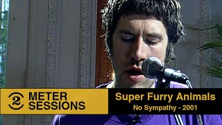 Super Furry Animals - No Sympathy (Live on 2 Meter Sessions, 2001)