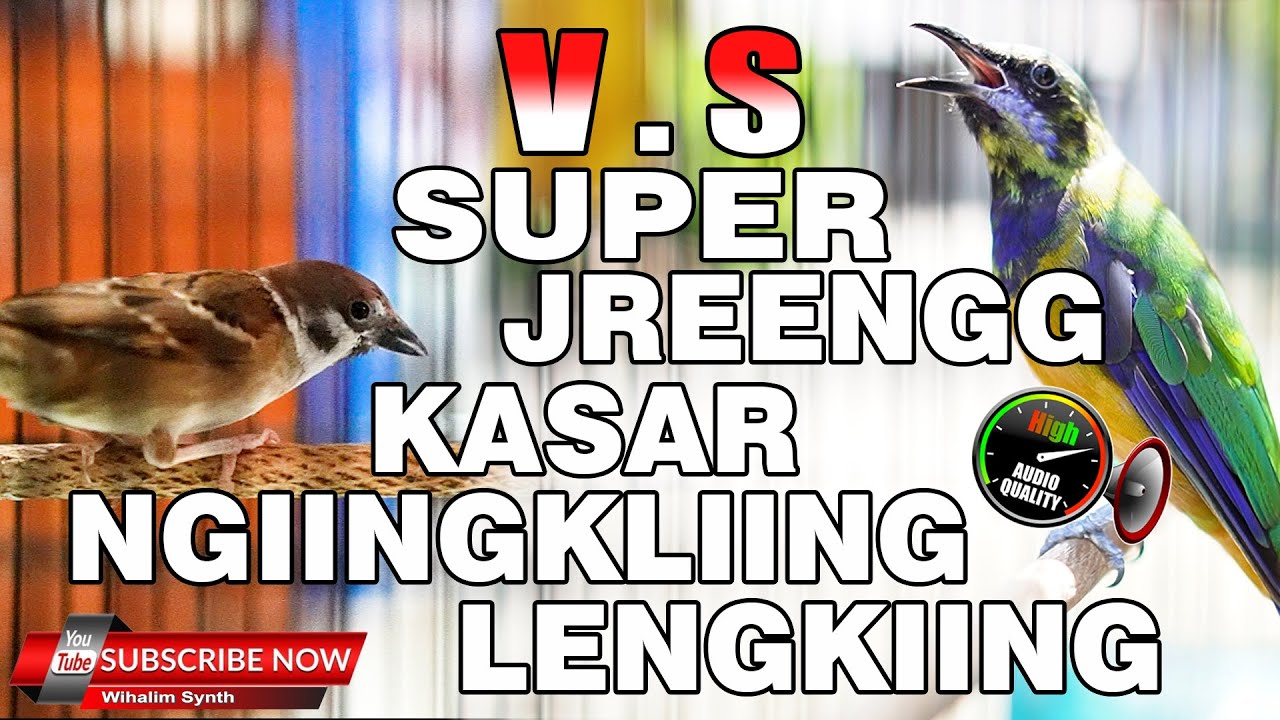 MASTERAN UNTUK SEMUA BURUNG MEWAH - CUCAK CUNGKOK VS GEREJA GACOR GEREJA TUNGGAL JERNIH PANJANG