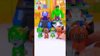 Satisfying Unboxing &amp; Experience and Paw Patrol Toys Collection #usa #pawpatrol