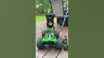 Giant Monster Truck Puddin 😂❤️