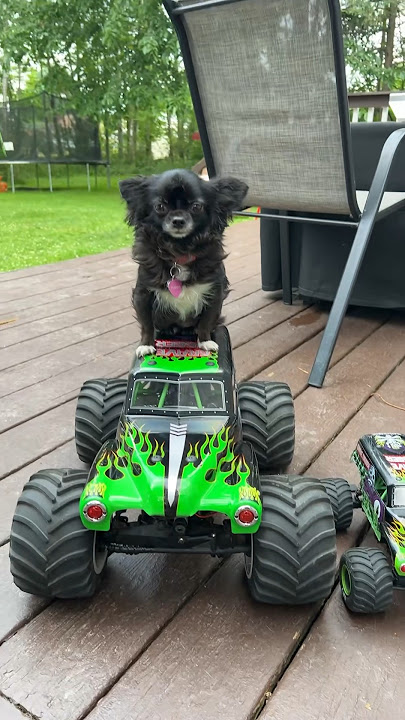 Giant Monster Truck Puddin 😂❤️