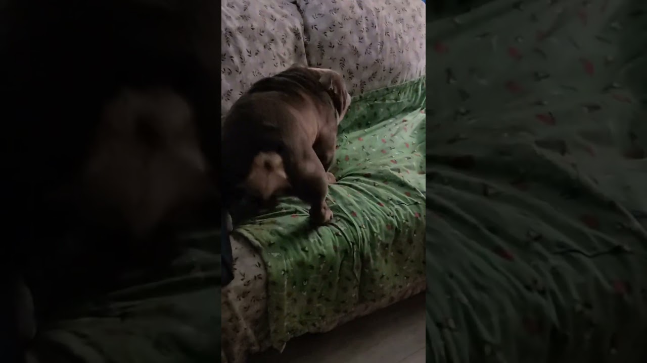 💖💖 Кто у двери?? 💖💖 