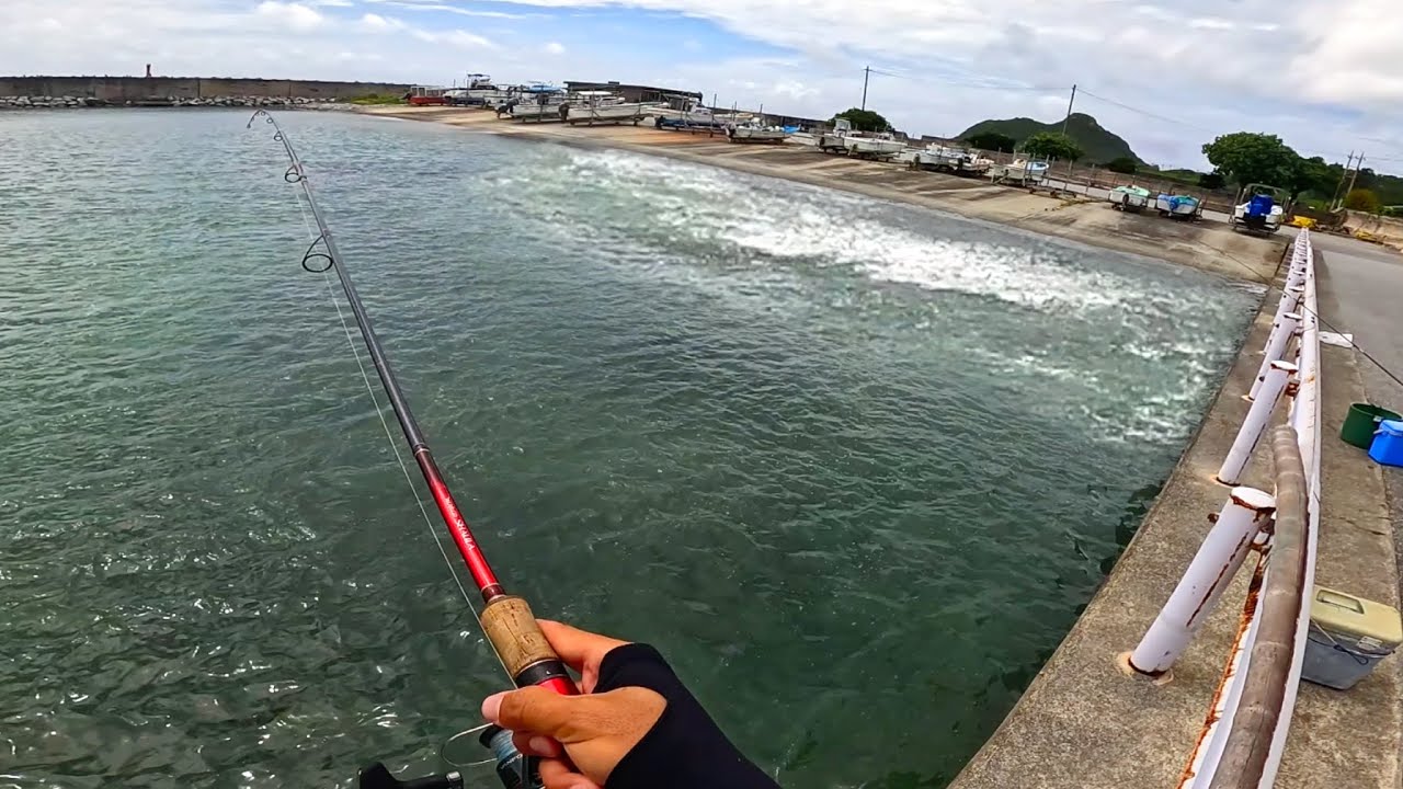 港で小物狙いのはずが大物が回遊してきて急展開！泳がせ釣りで狙った結果…