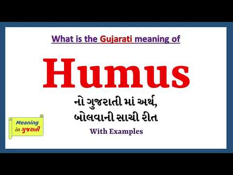 Humus Meaning in Gujarati | Humus નો અર્થ શું છે | Humus in Gujarati Dictionary |