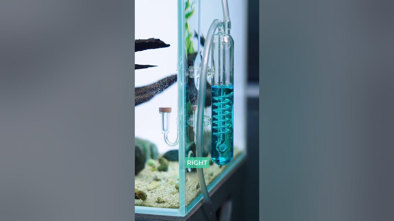 Spiral Bubble Counter 😵‍💫 - YouTube