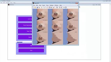 Feedforward Neural Network Matlab Code Projects FFNN
