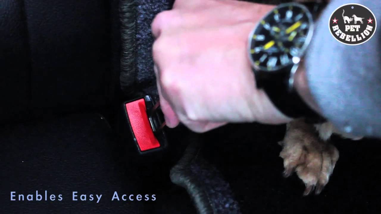 Pet Rebellion Car Seat Carpet YouTube