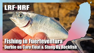 Fishing In Fuerteventura: Derbio & Rockfish Sting