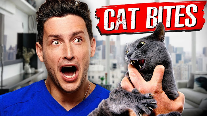 Why Cat Bites Are Actually So Dangerous | RTC 35