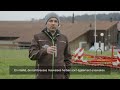 Herbizidloser Getreideanbau - Exaktstriegel