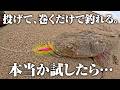 投げて巻くだけでいいメタルジグと言われ…試してみた結果。魚の爆追いっぷりに衝撃を受けた件