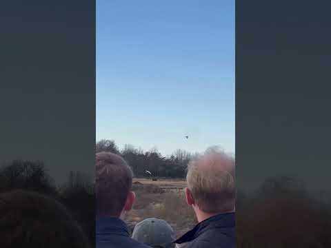 Goshawks getting that 👜 #falconry #goshawk #uplandhunting #hunting