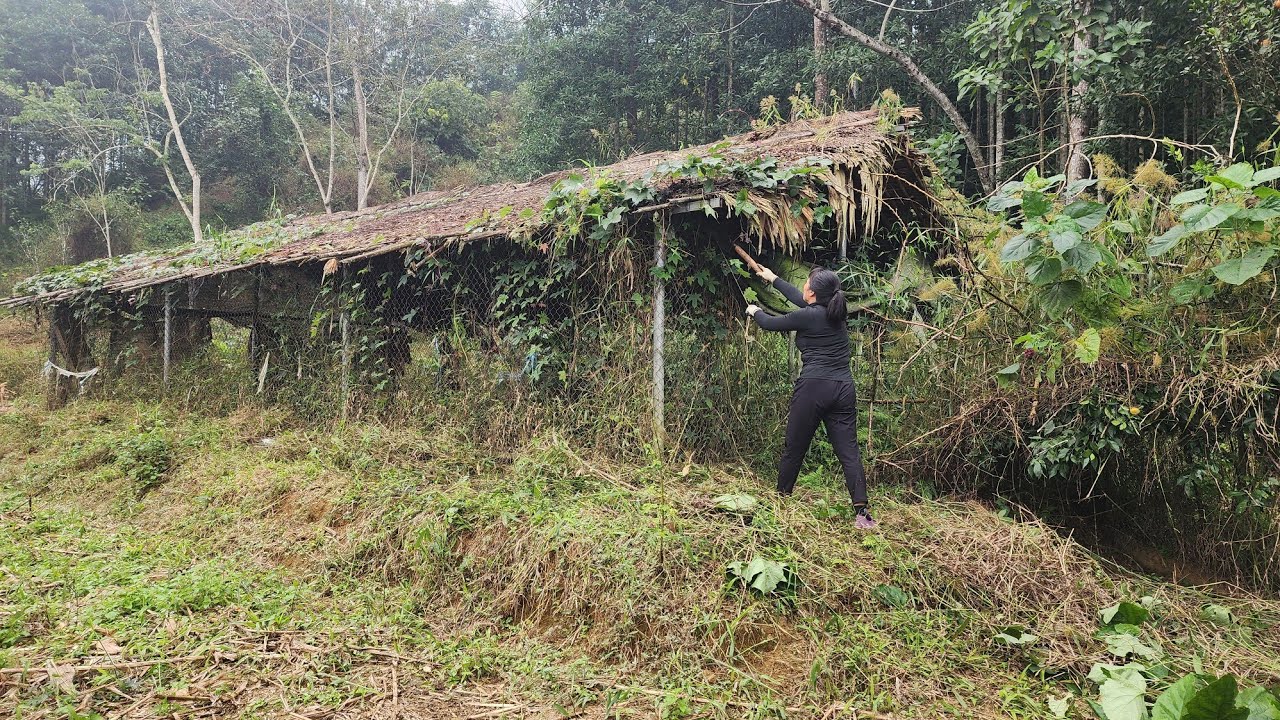 After COVID-19, the girl, who survived alone, came across an abandoned house.