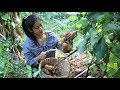 Digging Tiger Fingers Potatoes - Boiled Tiger Fingers Potatoes - Prepare by countryside life TV.