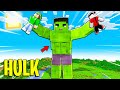 GIOCO A MINECRAFT COME HULK! (finito male)