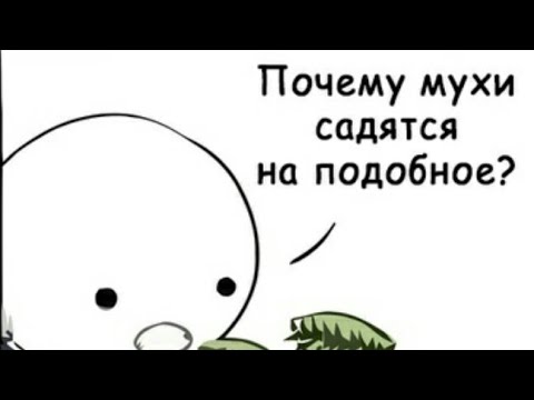 🔴Почему МУХИ садятся на Человека?🔔