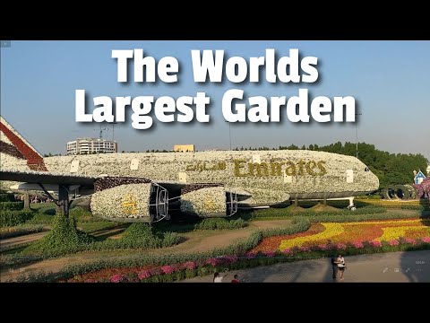 Dubai Miracle Garden 2020, The miracle of the desert and the worlds largest garden!