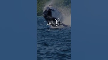 تلاوة خاشعة _ قرآن كريم                #اكسبلور #راحة_نفسية #duet #tiktok