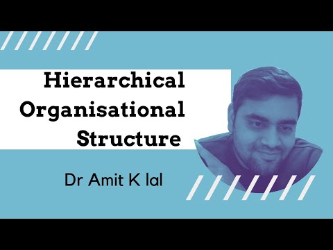 Hierarchical Organizational Structure | Meaning | Advantages and Disadvantages