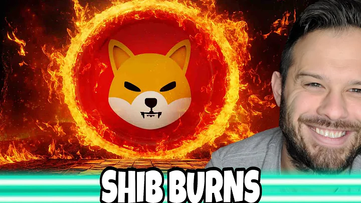 Shiba Inu Coin | The SHIB Burn Numbers Are Going Up In Flames...