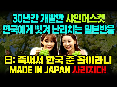 [일본반응] 30년간 개발한 샤인머스켓한국에게 뺏겨 난리치는 일본반응 &amp;quot;죽써서 한국 준 꼴이라니&amp;quot; <strong>MADE</strong> IN <strong>JAPAN</strong> 사라지다!