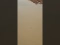 Full water