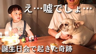 愛犬のフレンチブルドッグが弟の誕生日会でやらかしました…